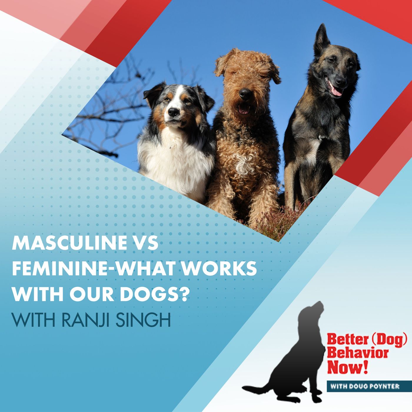Masculine Vs. Feminine-What Works With Our Dogs? With Ranji Singh episode artwork