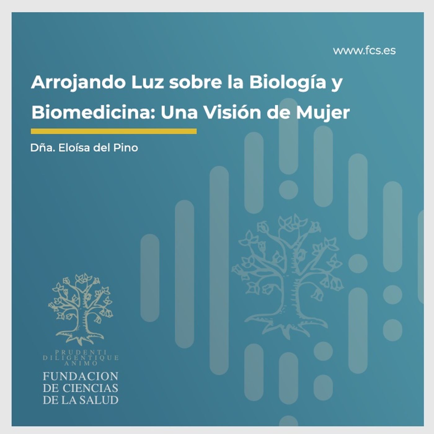 Ciencia y Tecnología: Visión de la Mujer