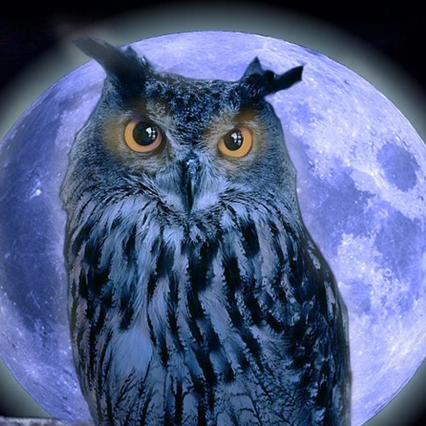 La Casa De Al Lado Historias De Terror - REDE