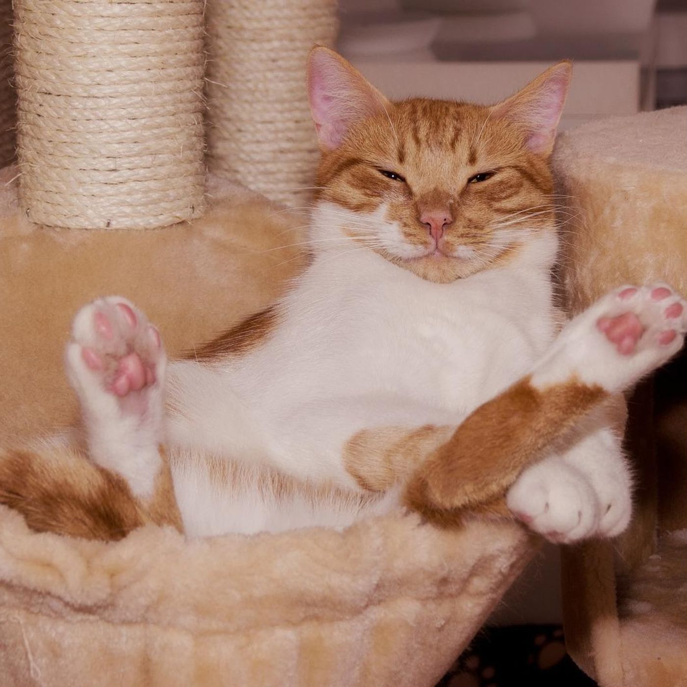 Getting Comfortable with Being Uncomfortable