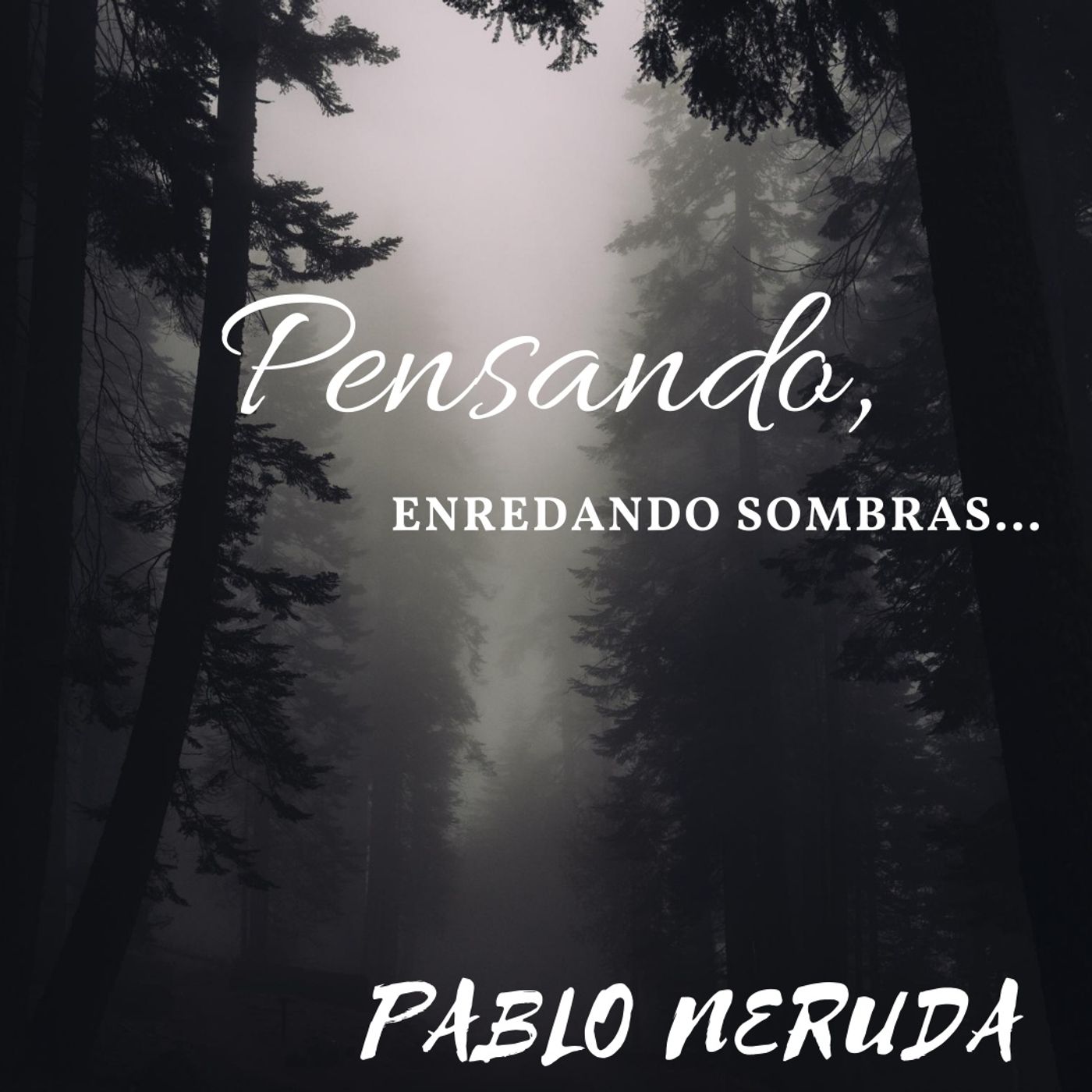 Letras al aire | Poesía y más