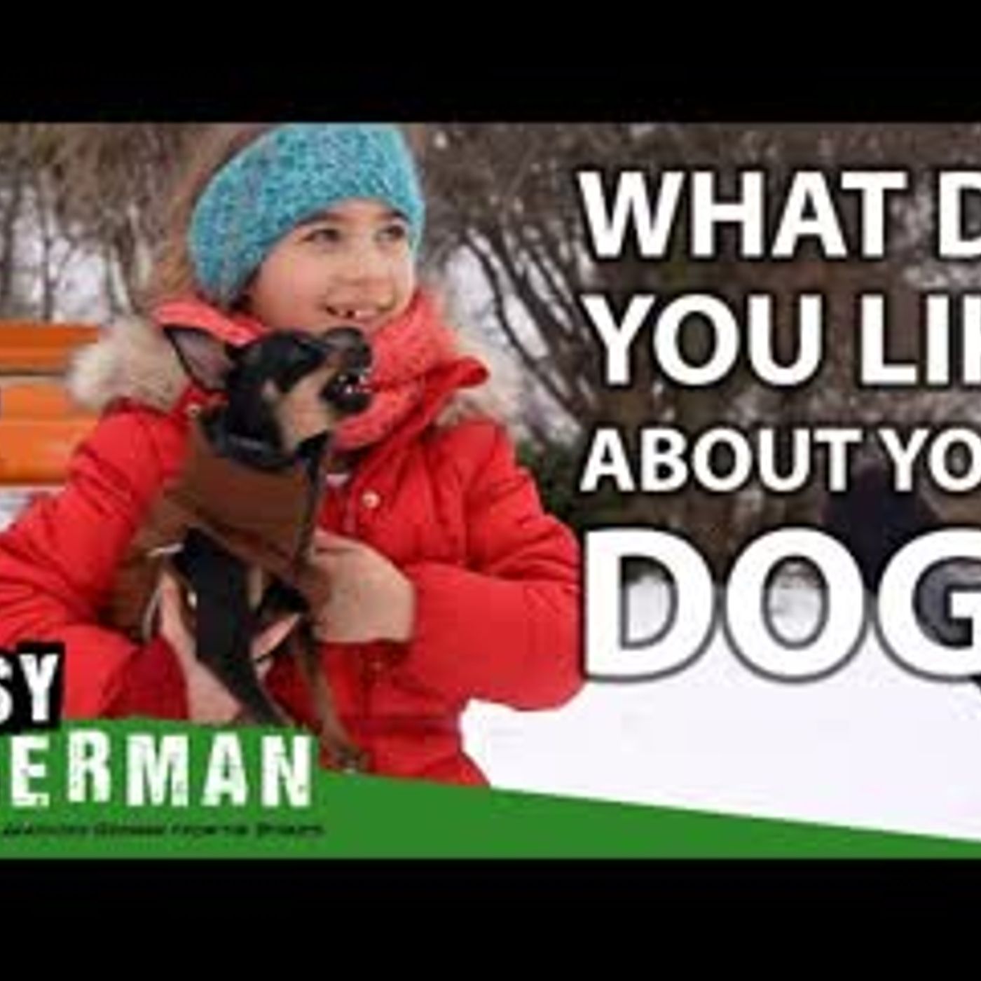 Germans Talking About Their Dogs   Easy German 389