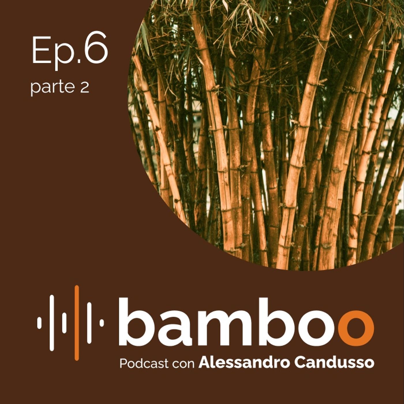 Bamboo Podcast con Alessandro Candusso