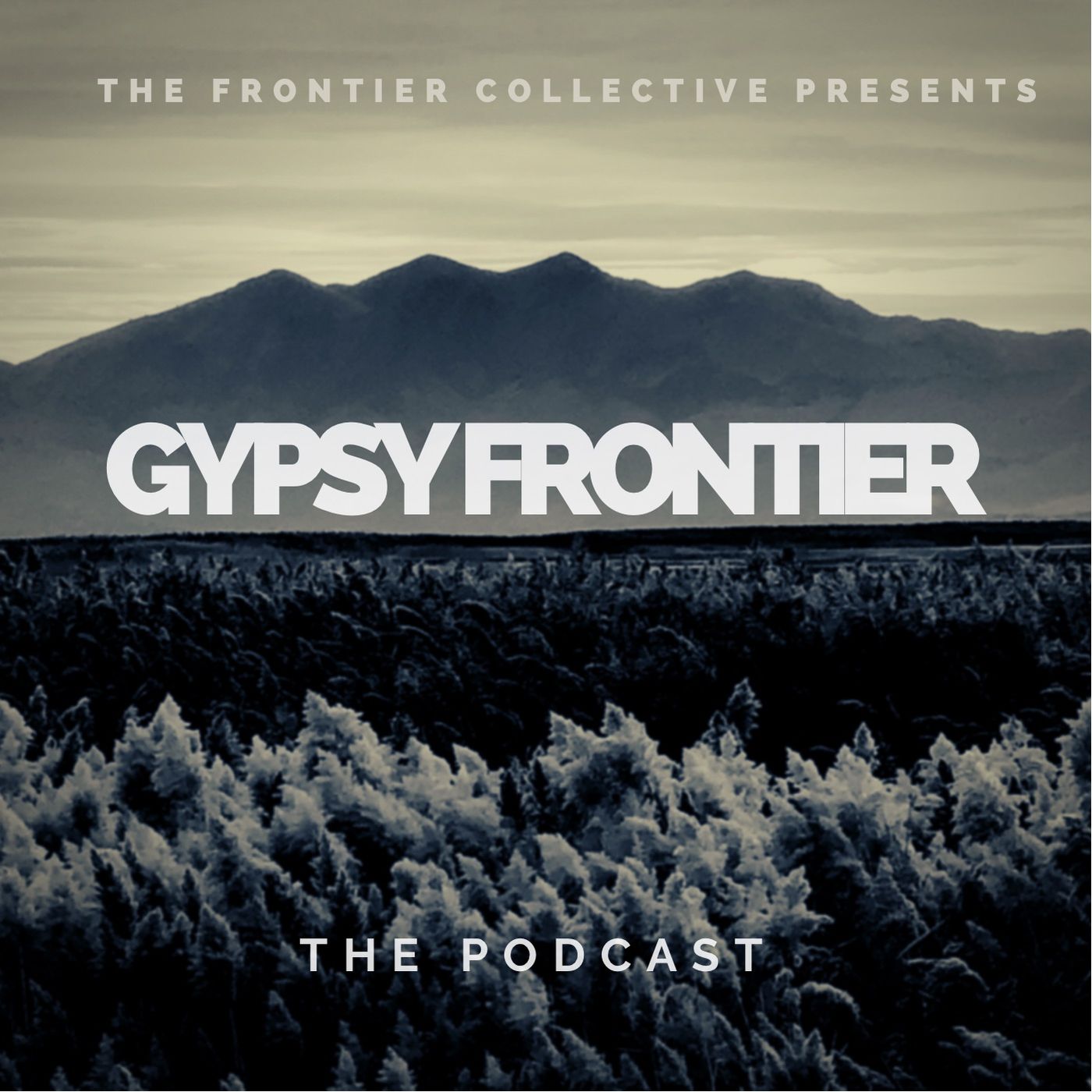 Gypsy Frontier: Accessibility to healing for all through purpose-driven energetic exchanges.