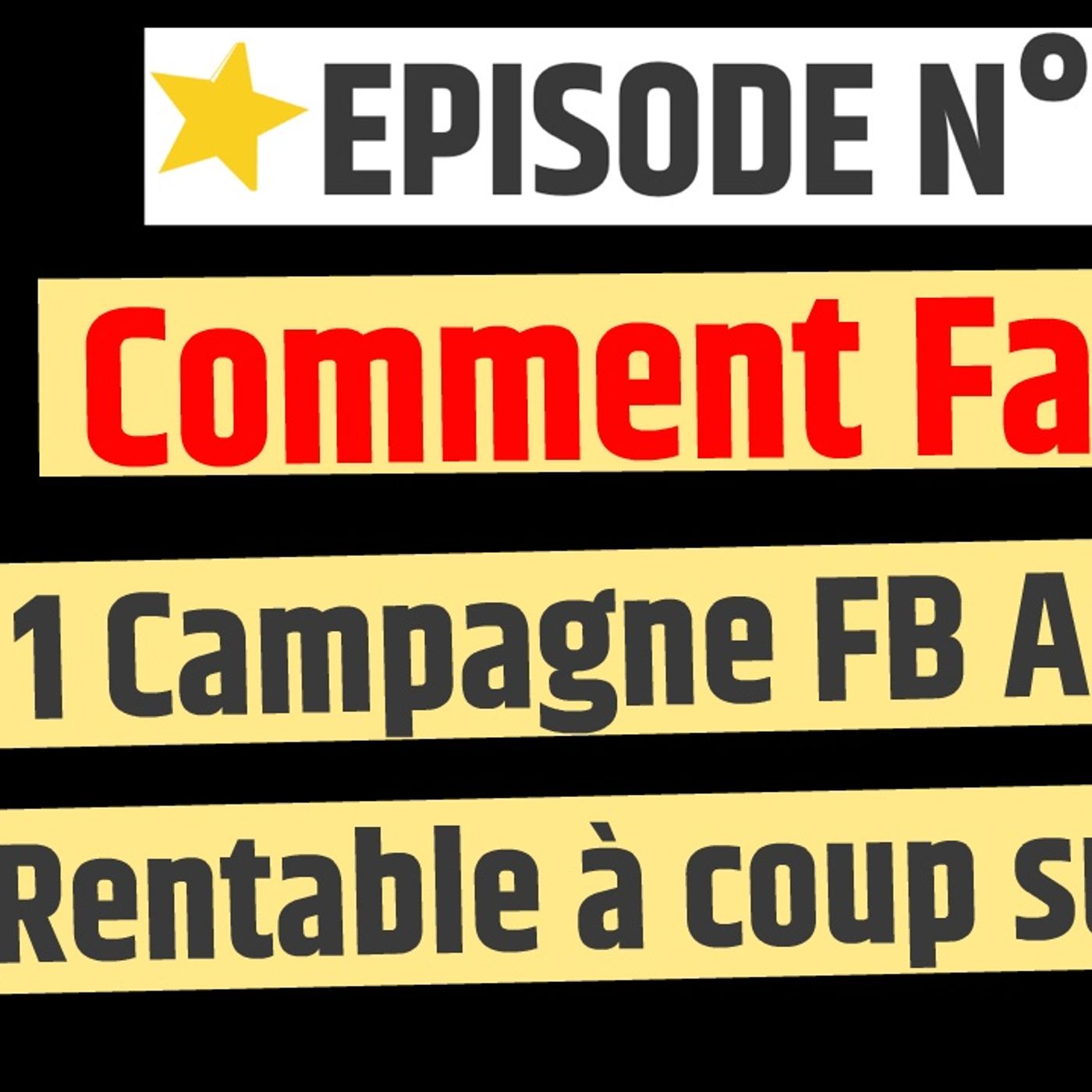 Web2fou.fr - Comment faire 1 campagne Facebook Ads rentable à tous les coups ? episode artwork