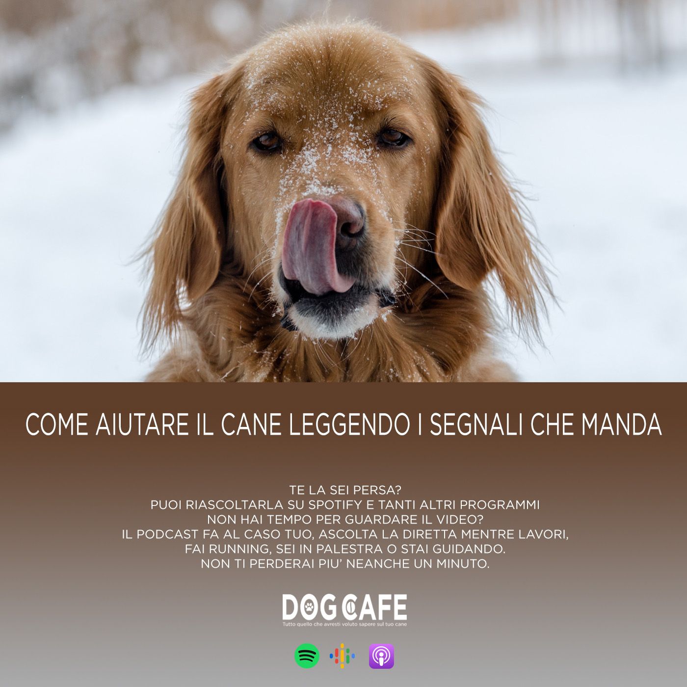 Dog Cafe Podcast