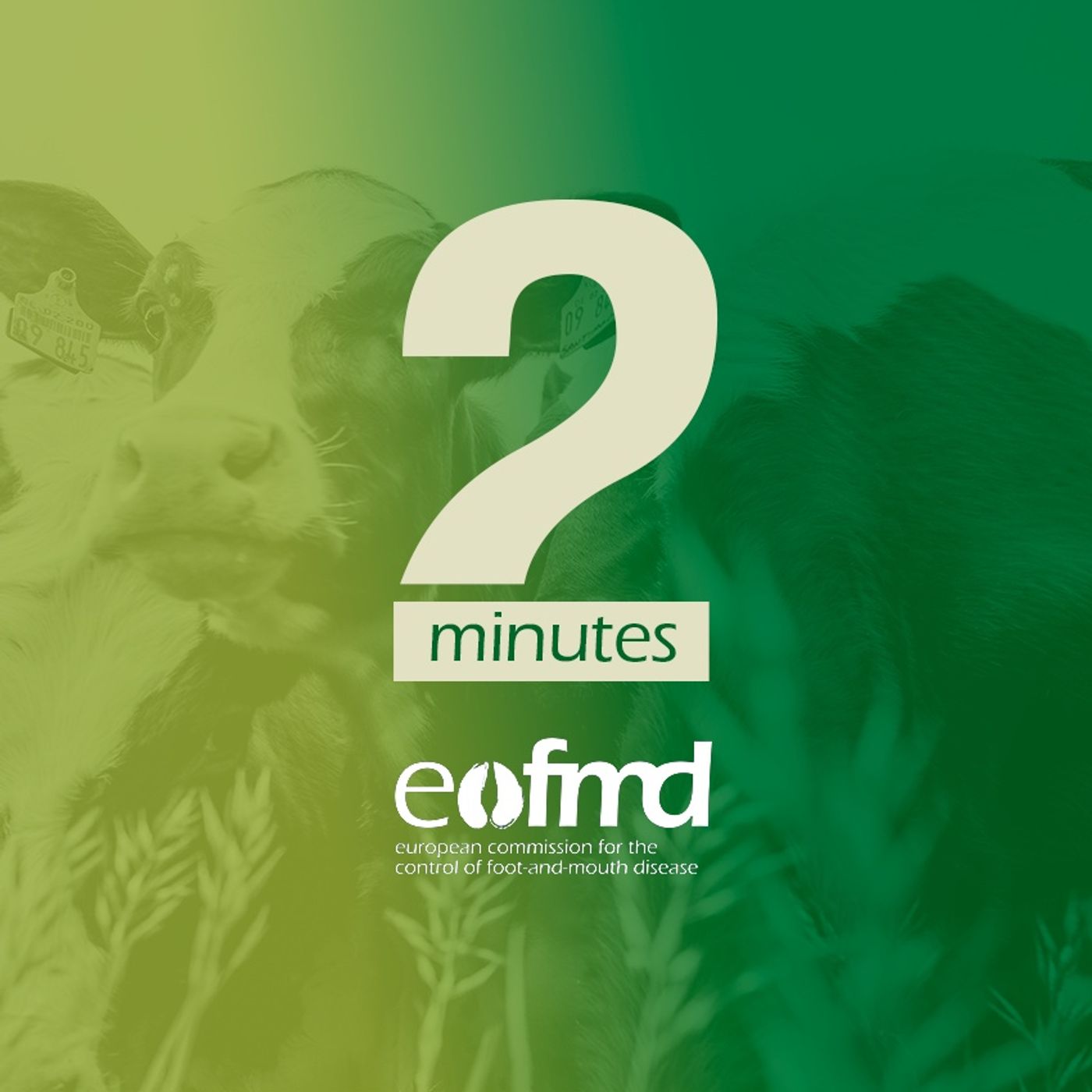 EuFMD