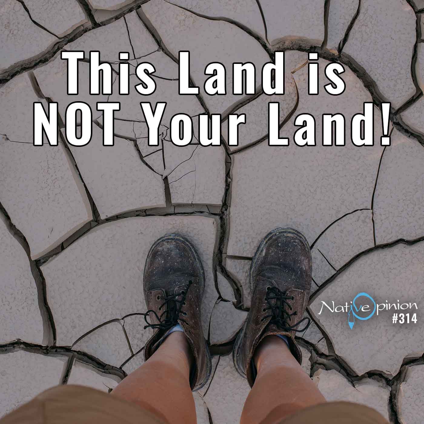 "EPISODE  314  This Land is NOT Your Land." - podcast episode cover