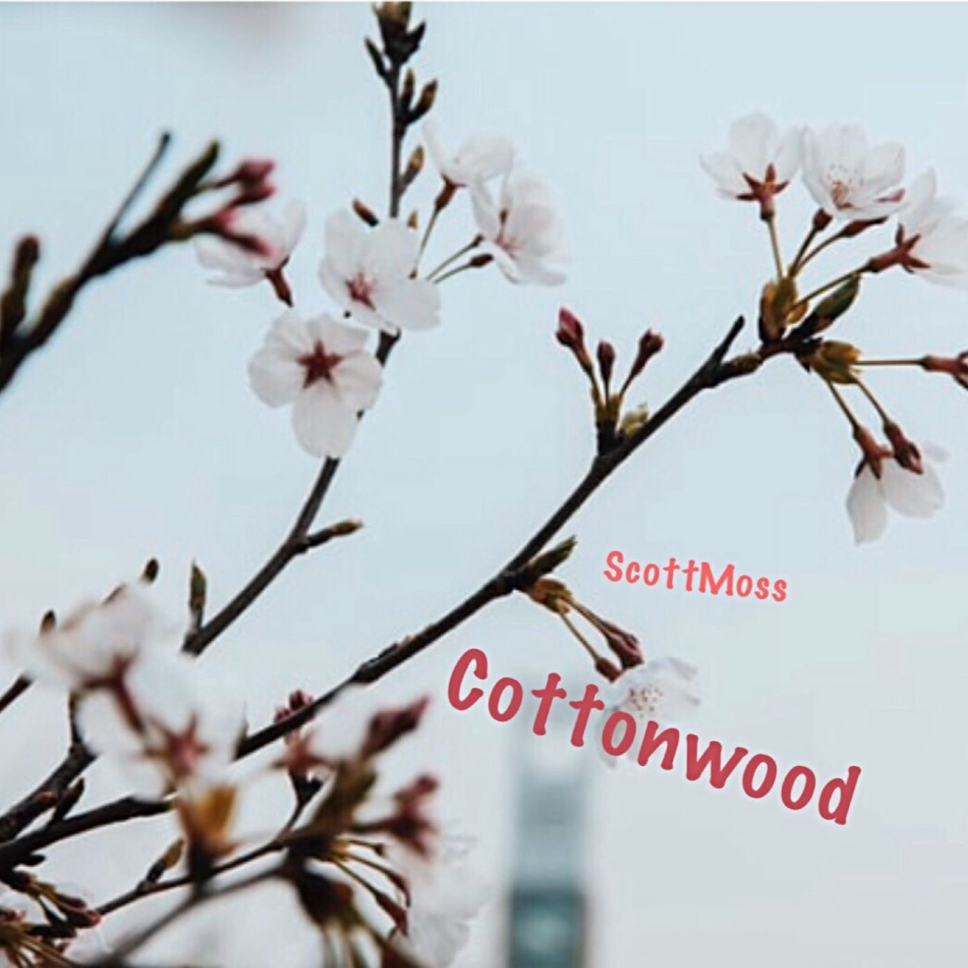 SCOTT MOSS / COTTONWOOD Album