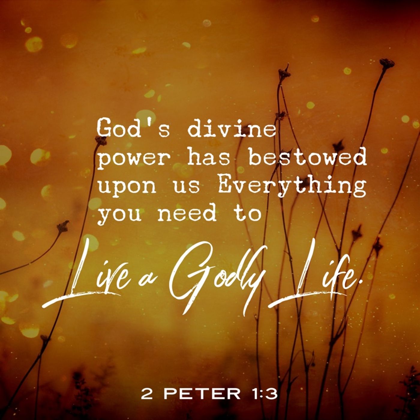 God\'s Encouragement
