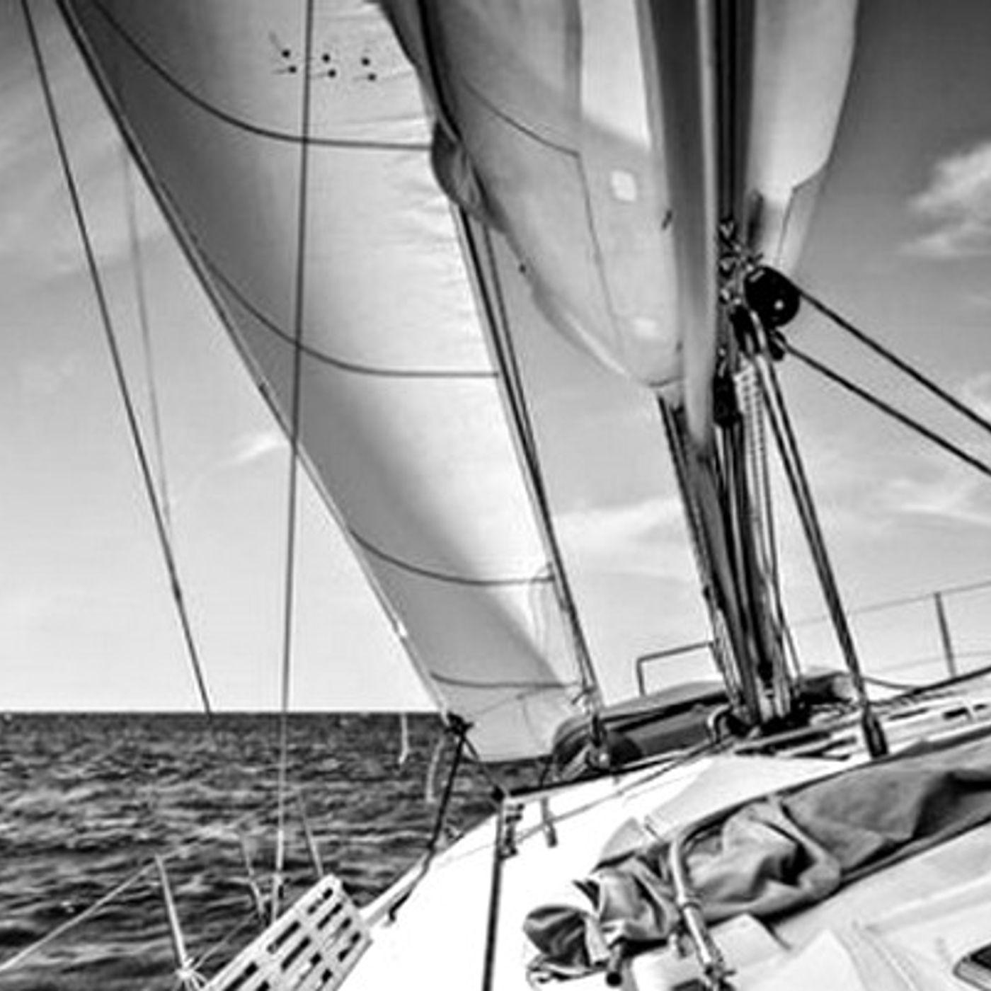 Tracce di Domenico Tota