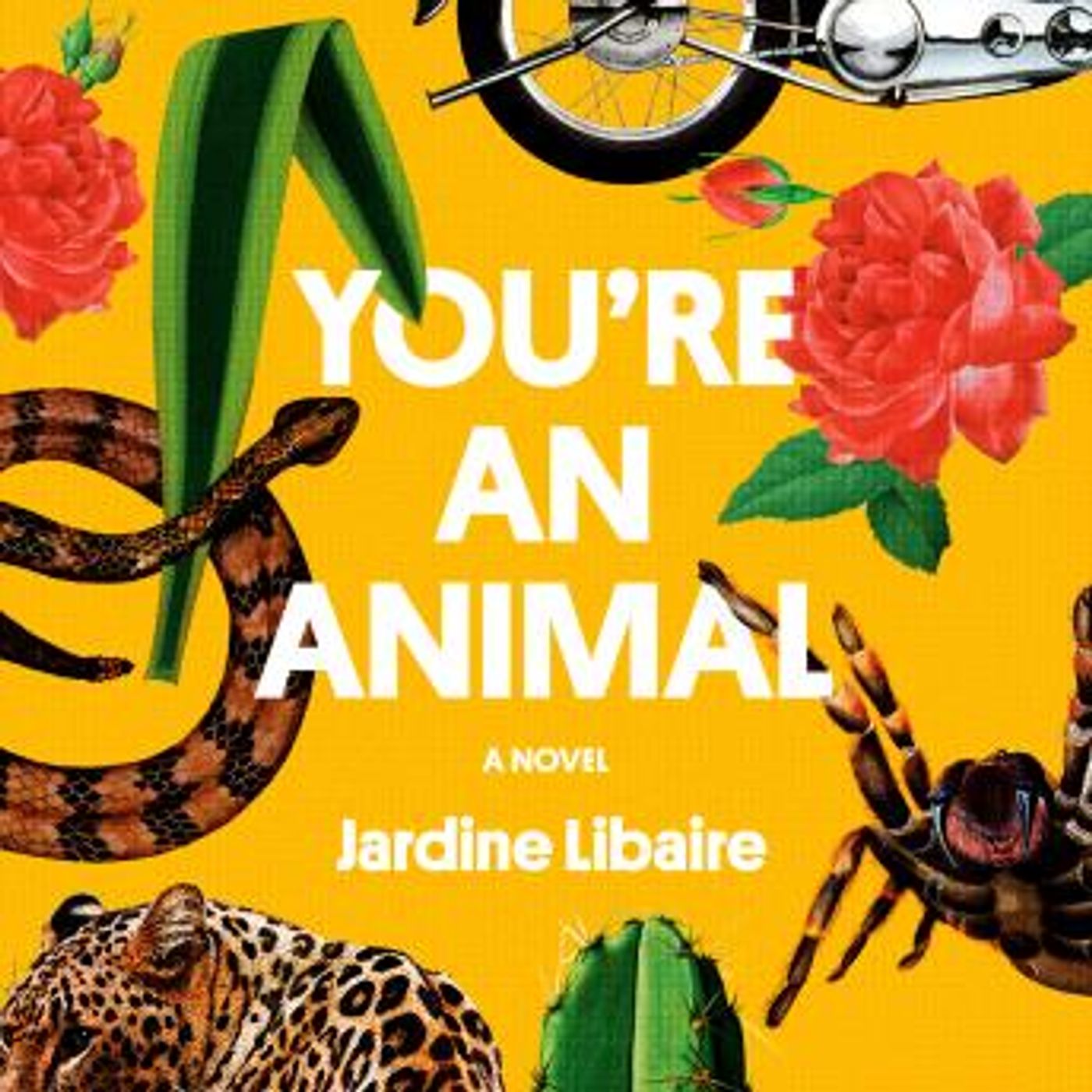 Download Best Full Audiobooks in Fiction, Drama