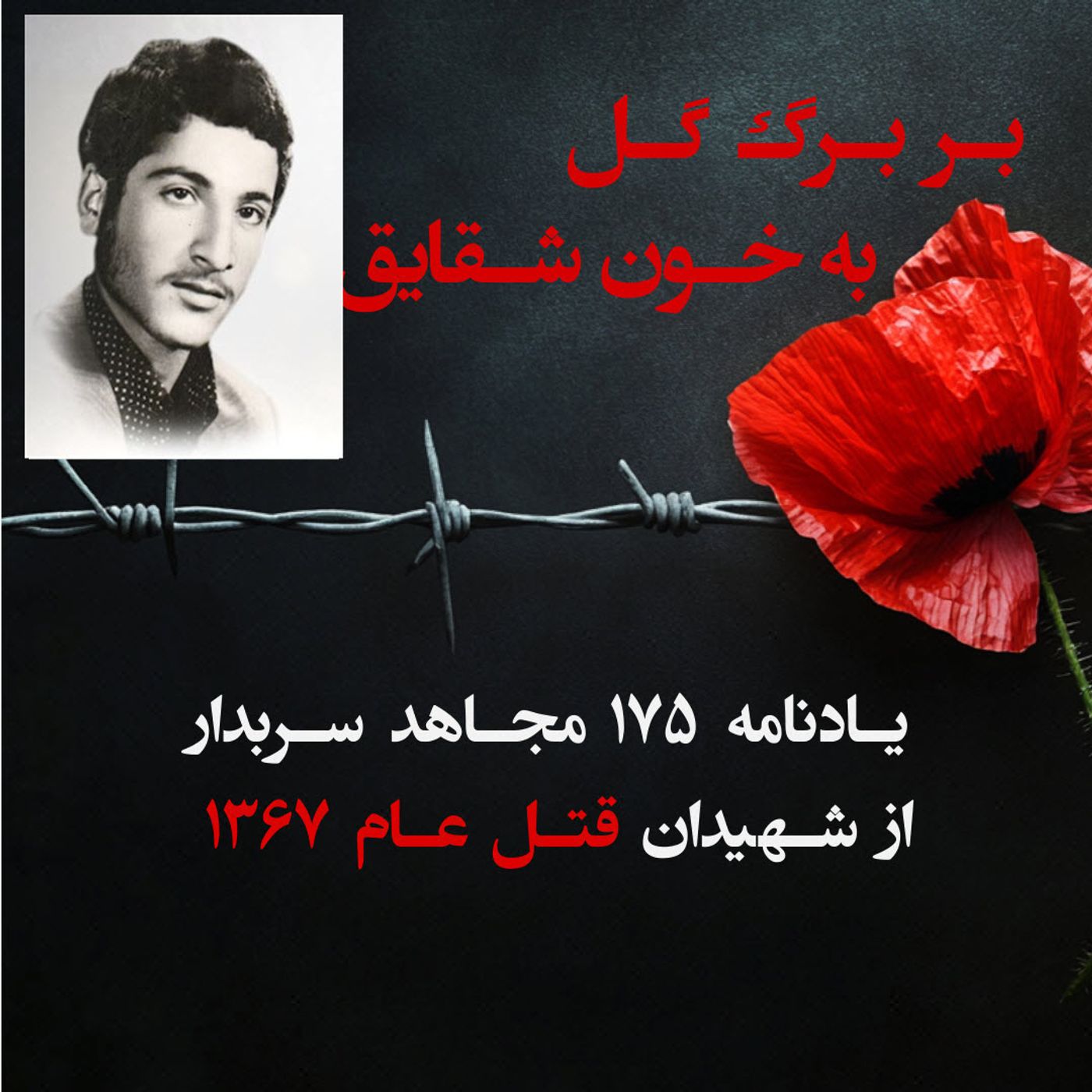 بربرگ گل به خون شقایق-الله رحم غلامنژاد-۱۰۱ episode artwork