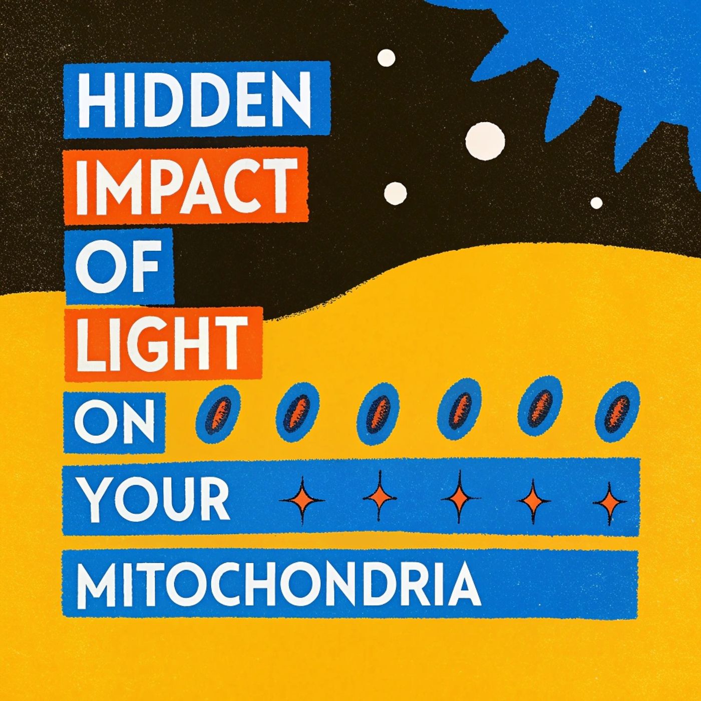 The Hidden Impact of Light on Your Mitochondria