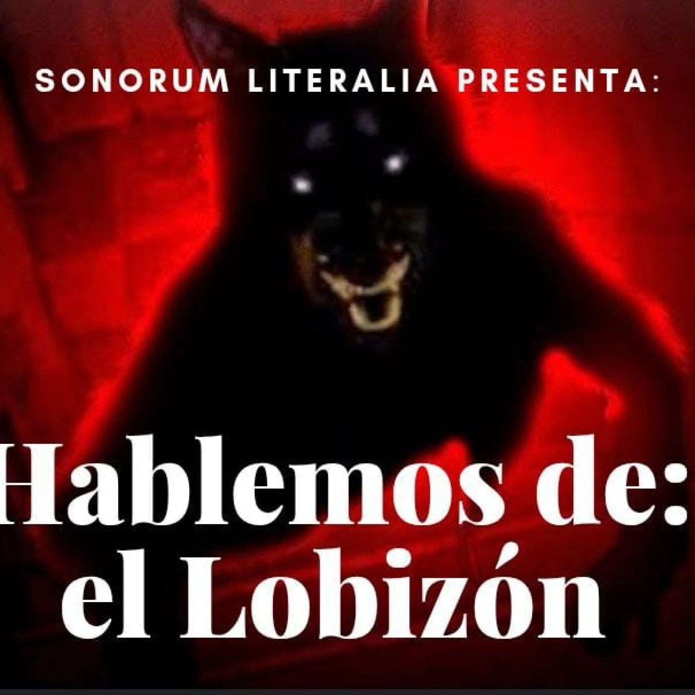 SONORUM LITERALIA