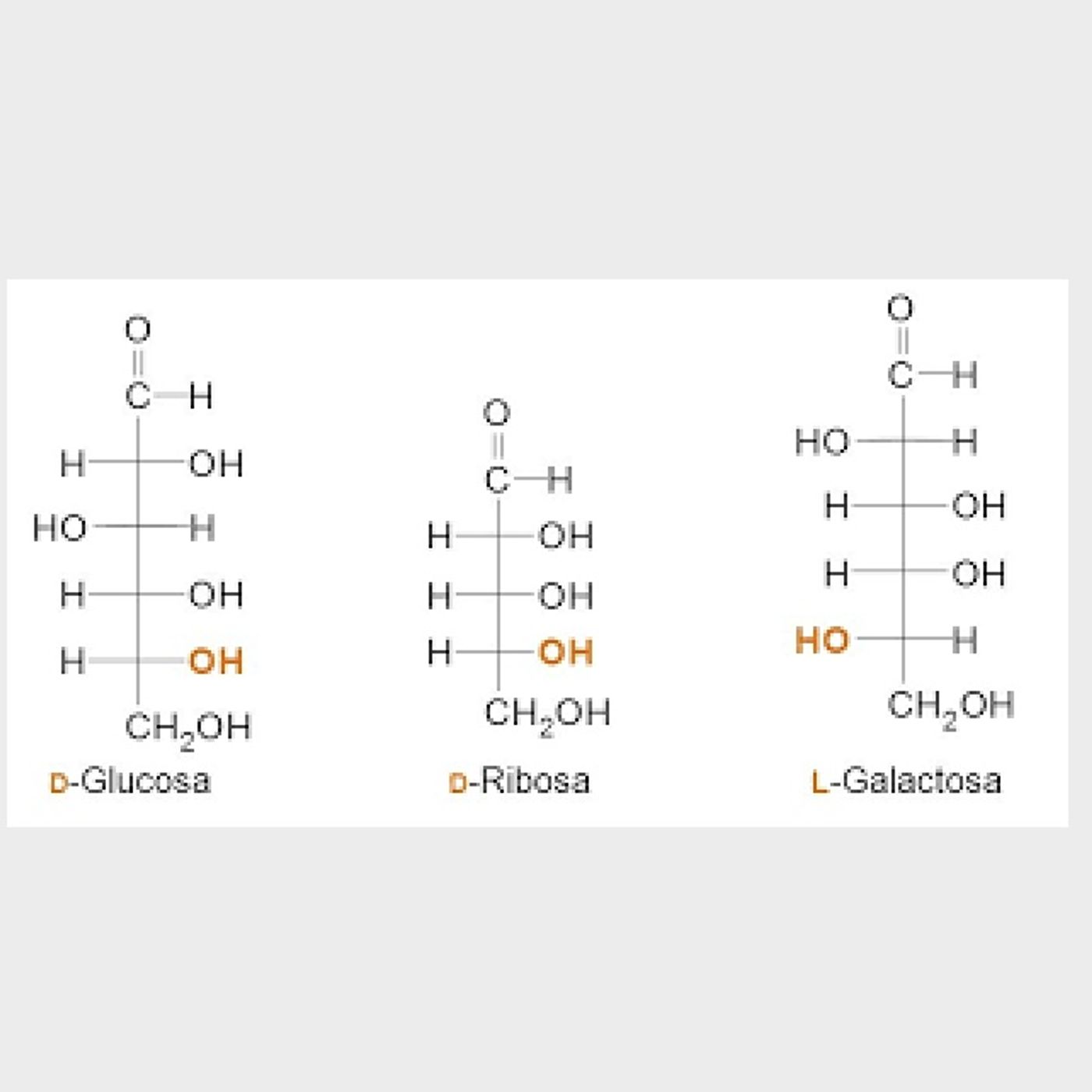 Tema 2: isomería de los monosacáridos
