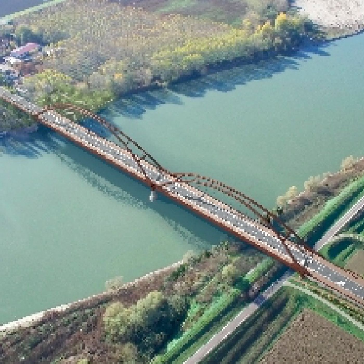 Pareri diStorti