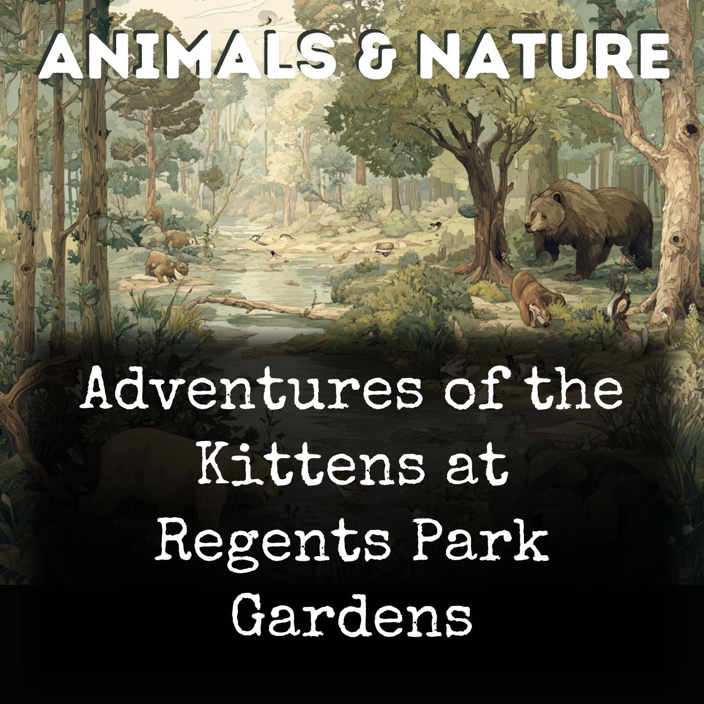 Adventures of the Kittens at Regents Park Gardens cover art