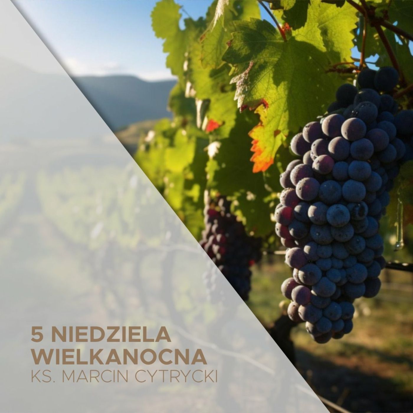 Słowo na niedzielę i nie tylko