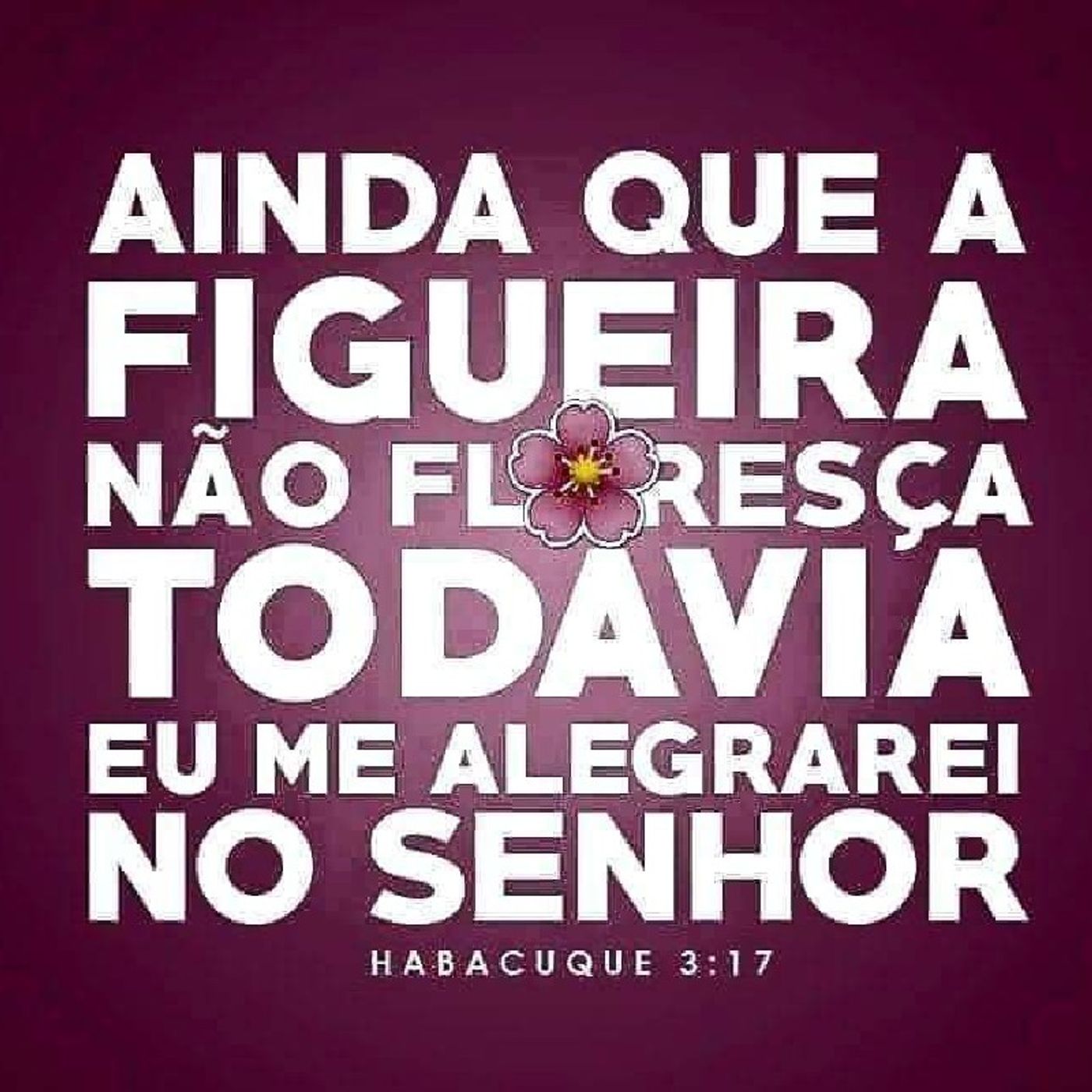 Marcos Souza Gonçalves\'s show
