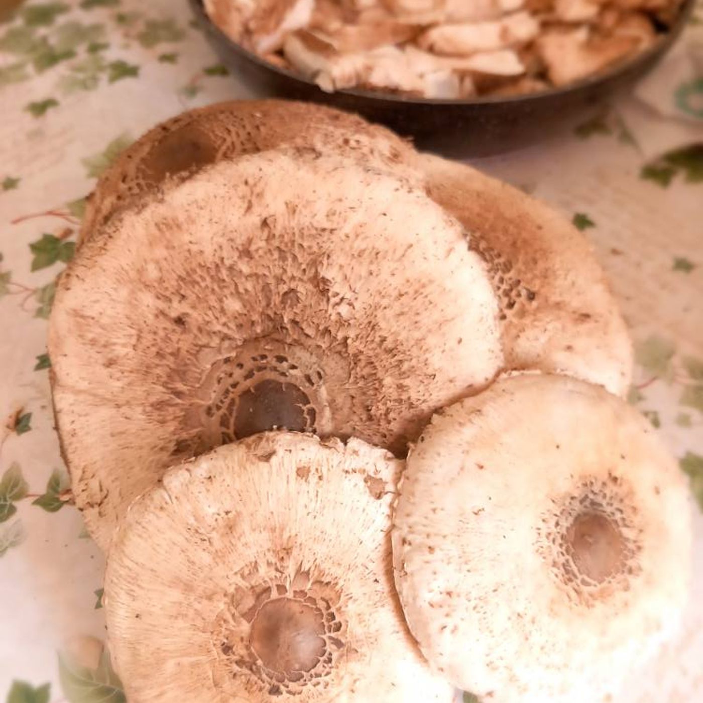 Mazze di Tamburo trifolate in padella episode artwork