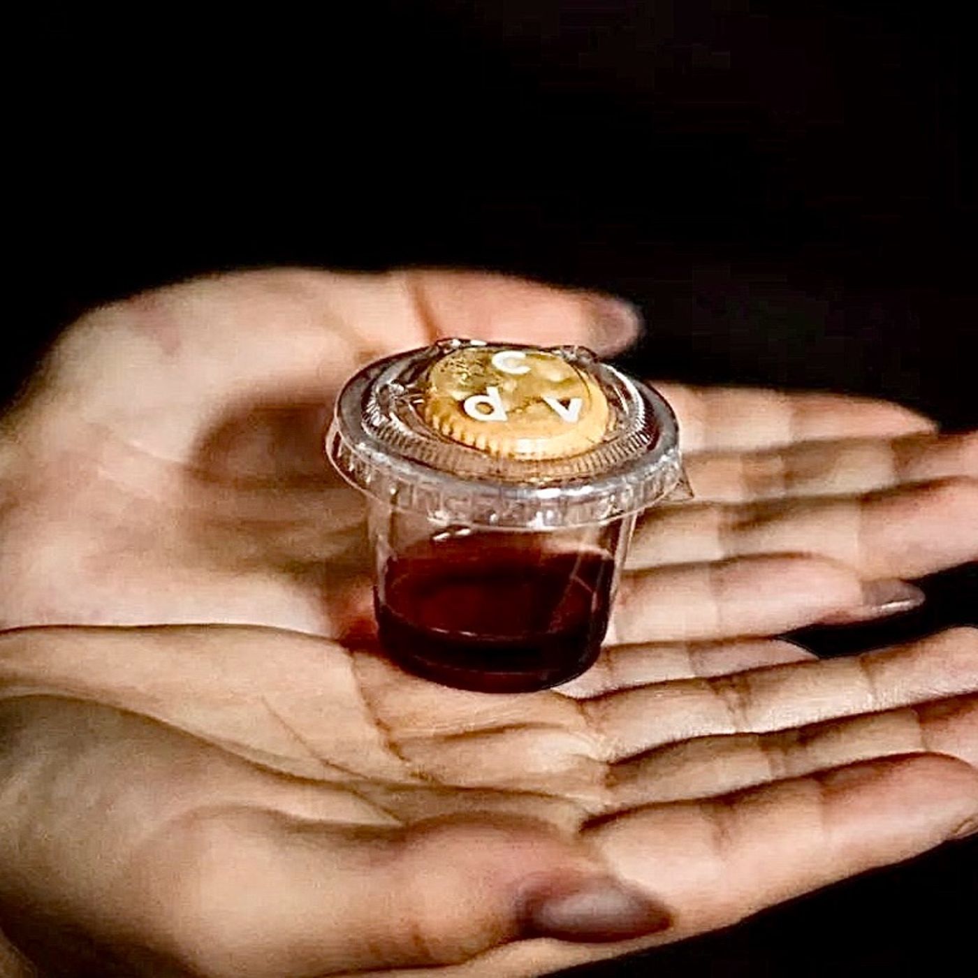 historia de las religiones