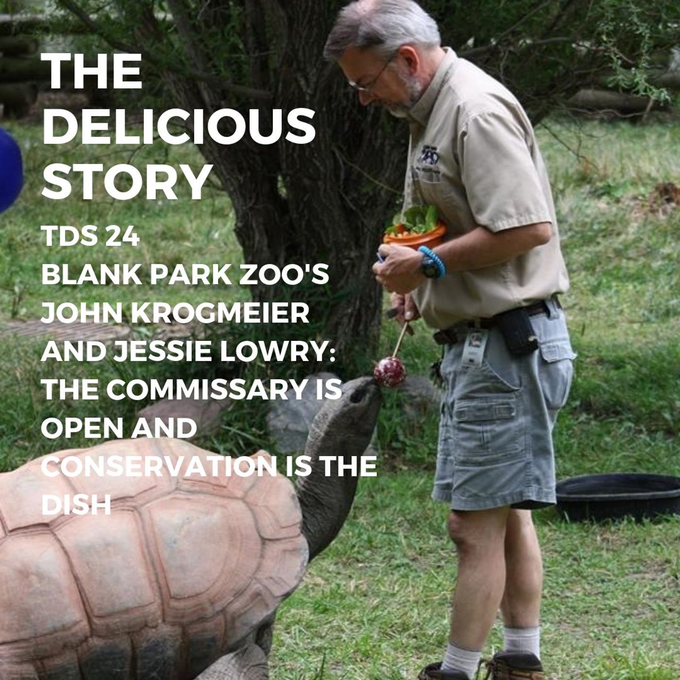 The Delicious Story
