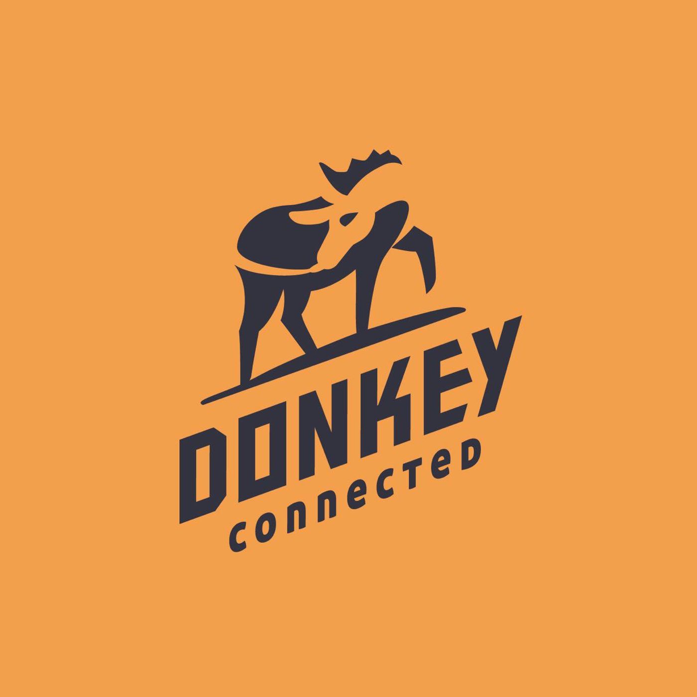 Radio Donkey