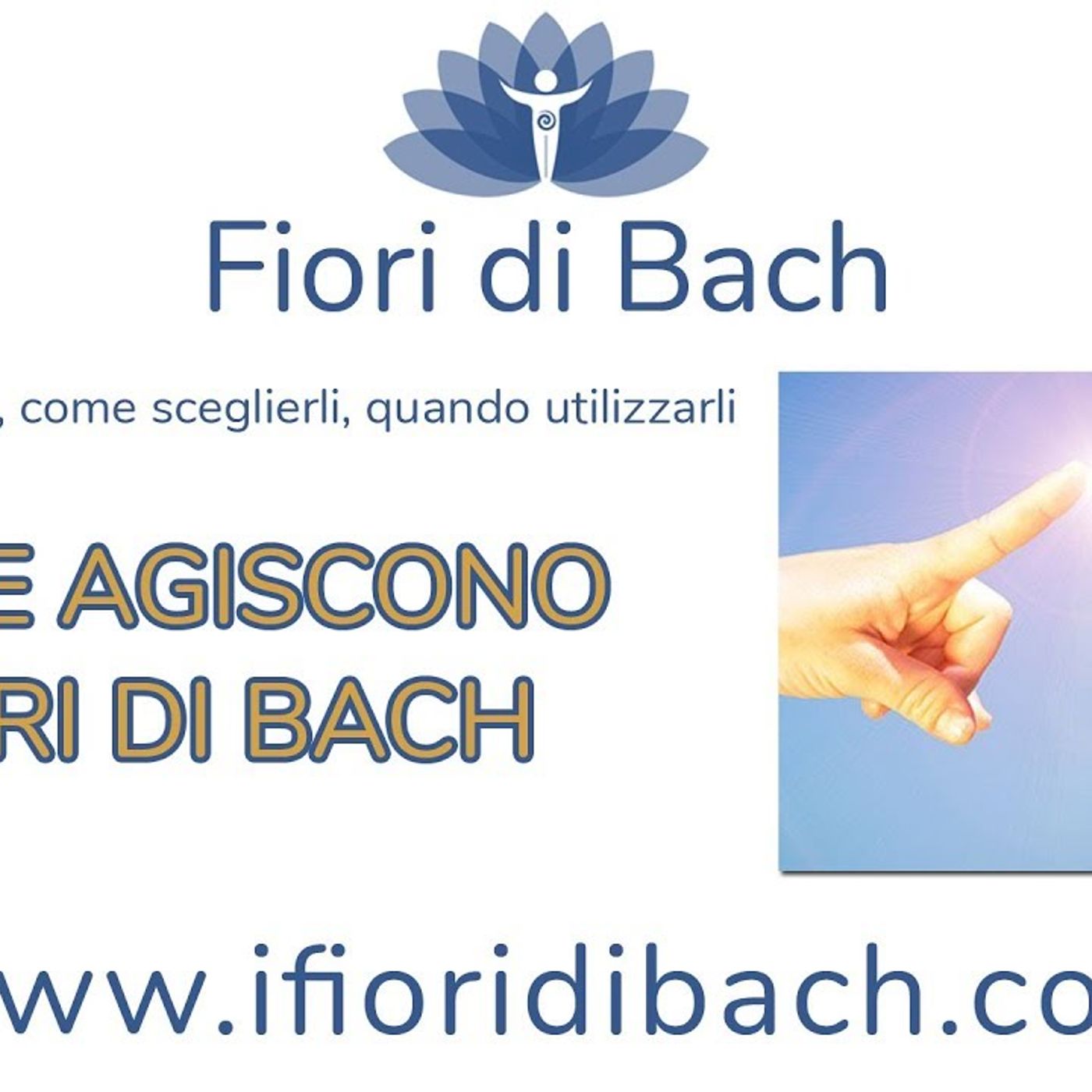 Fiori di Bach in pillole