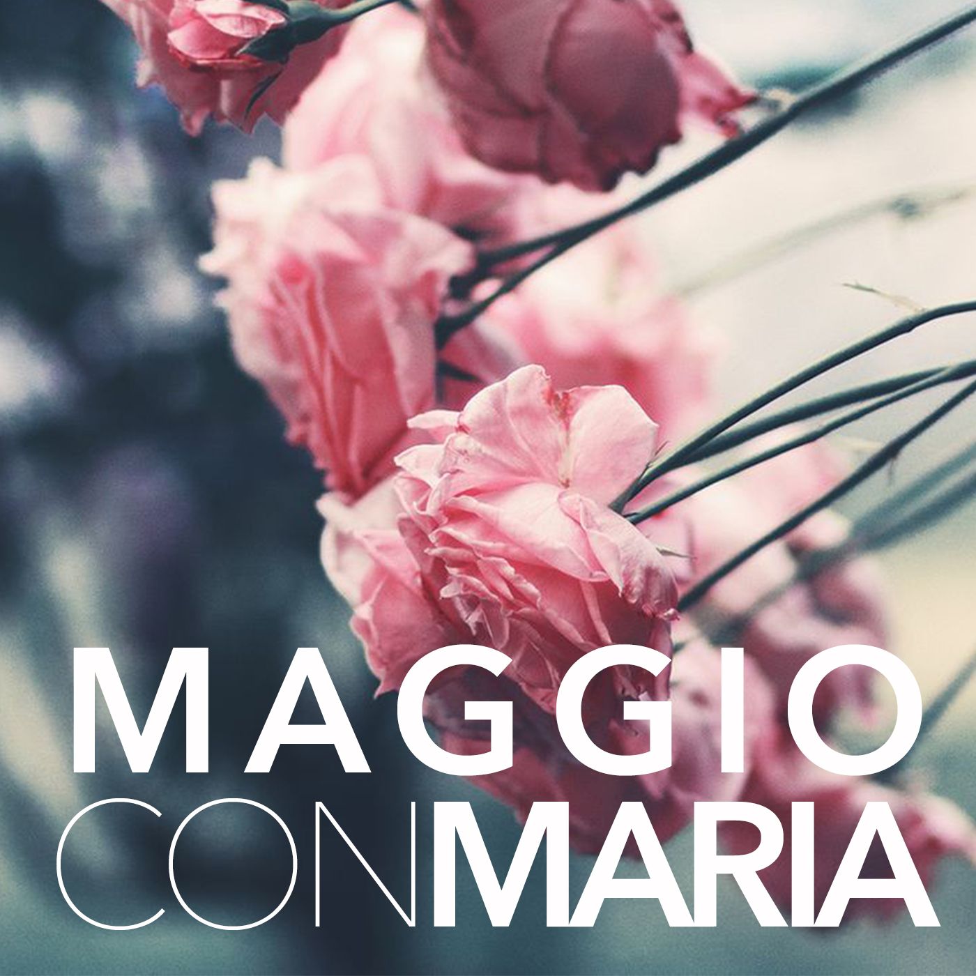 Maggio con Maria