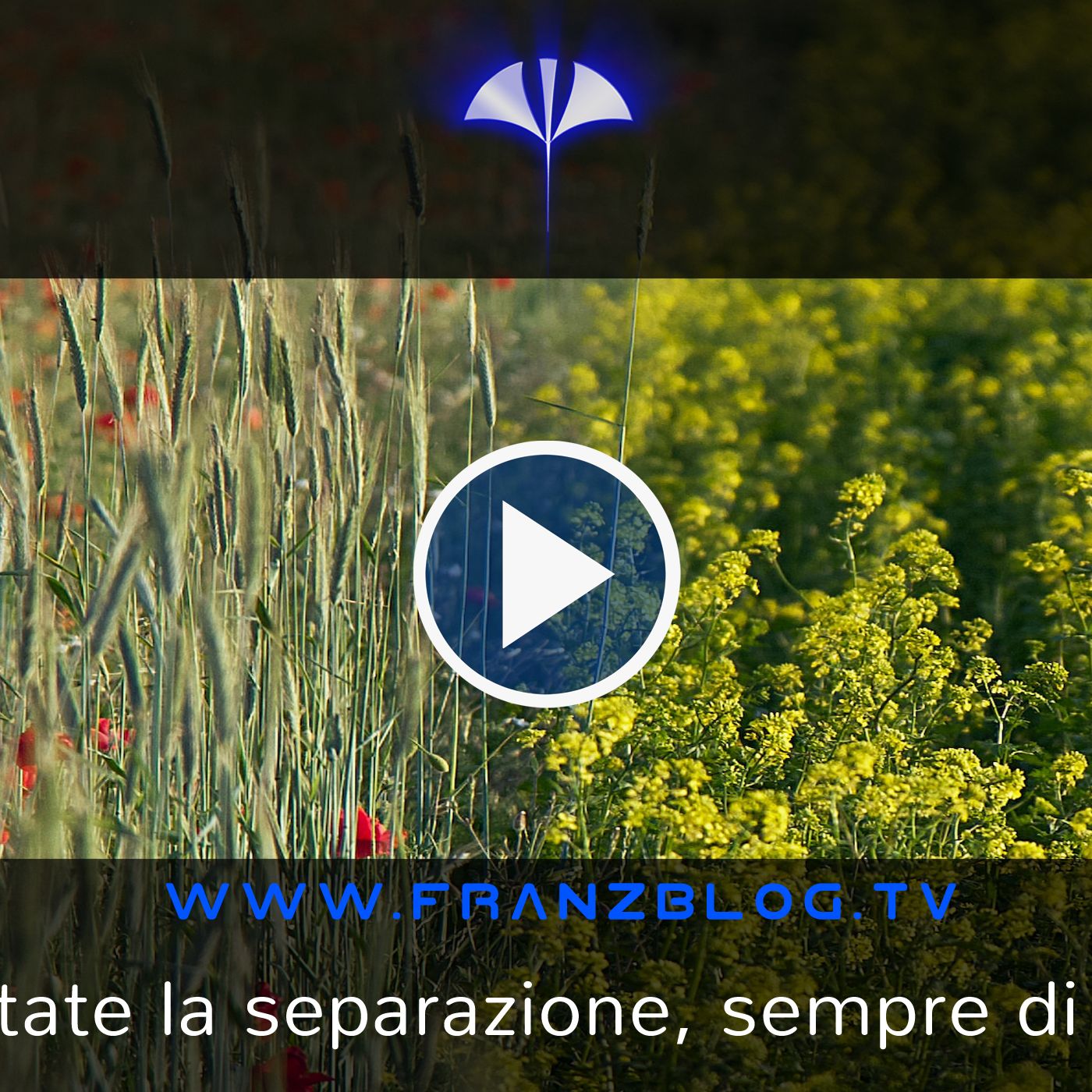 Franz\'s Blog