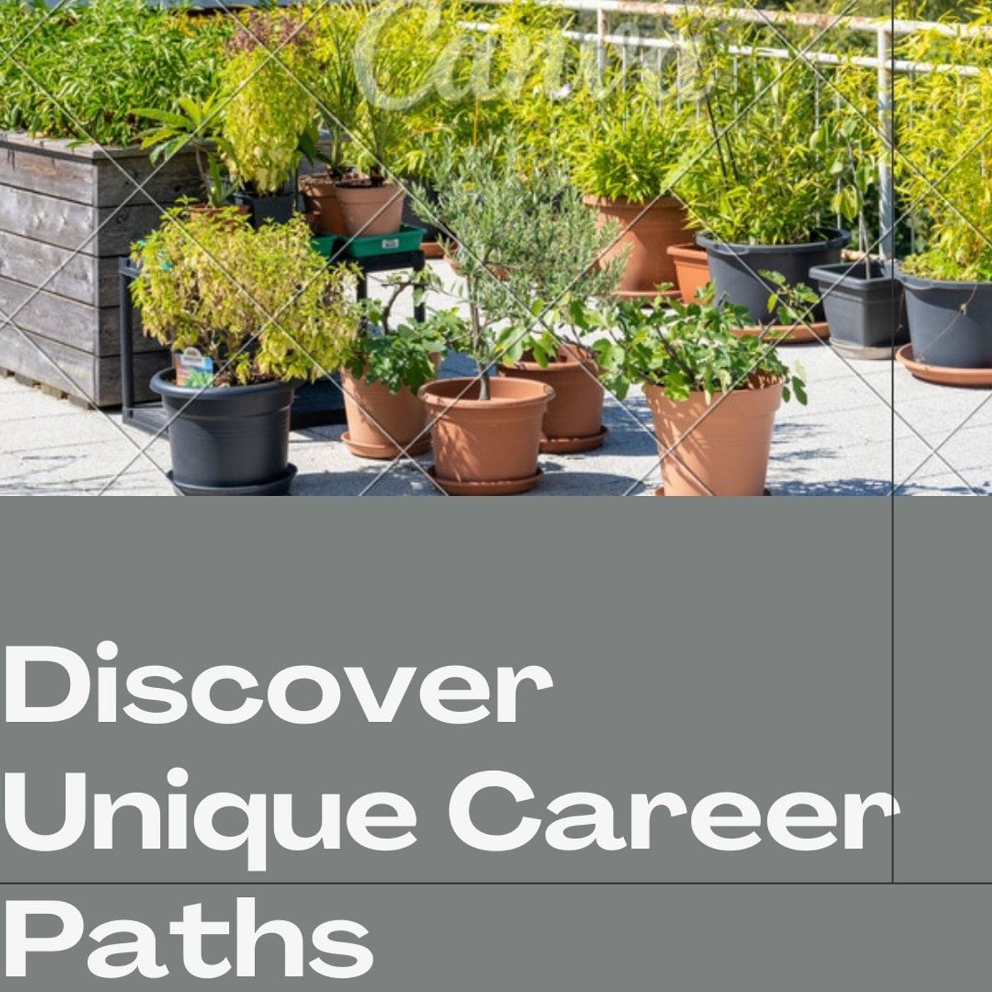 unique career option after 12th