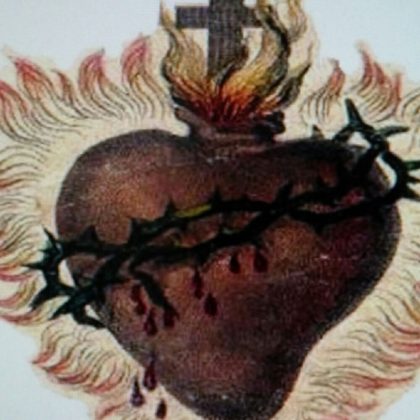 November 2015 Prayers