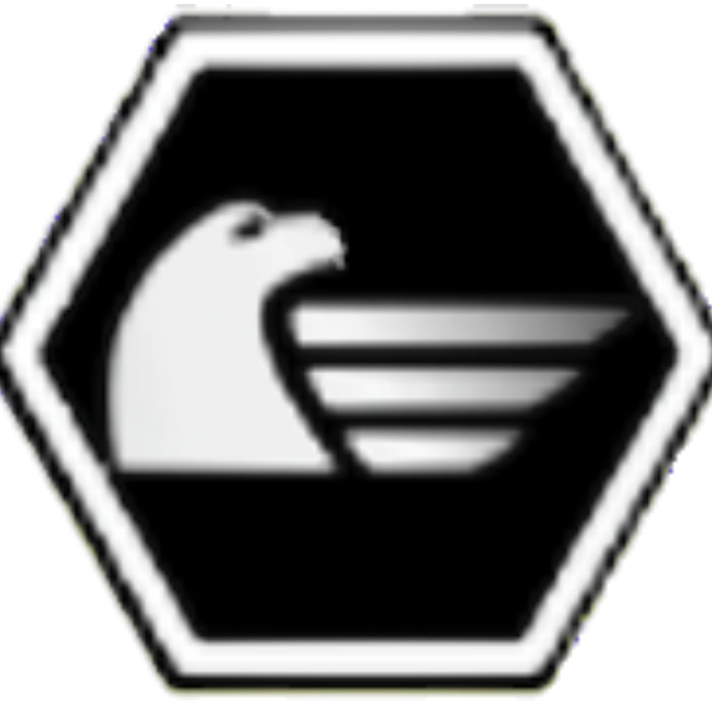 Better Insurance Options Senior Security cover art