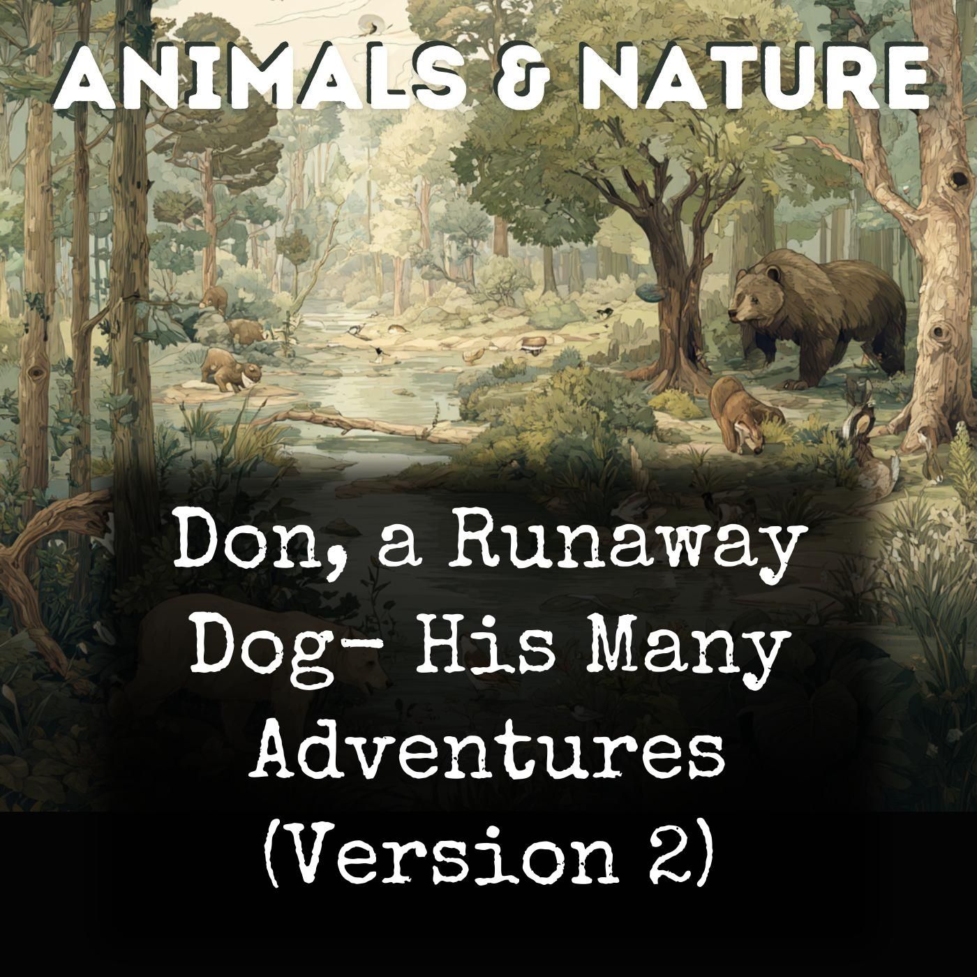 Don, a Runaway Dog-  His Many Adventures (Version 2) cover art