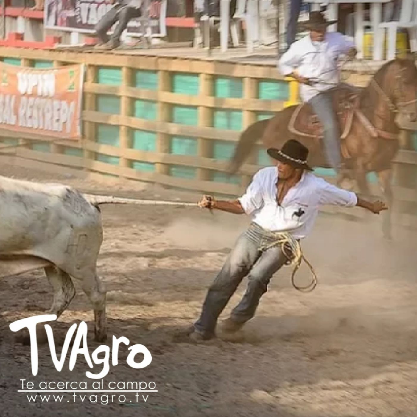 TV AGRO