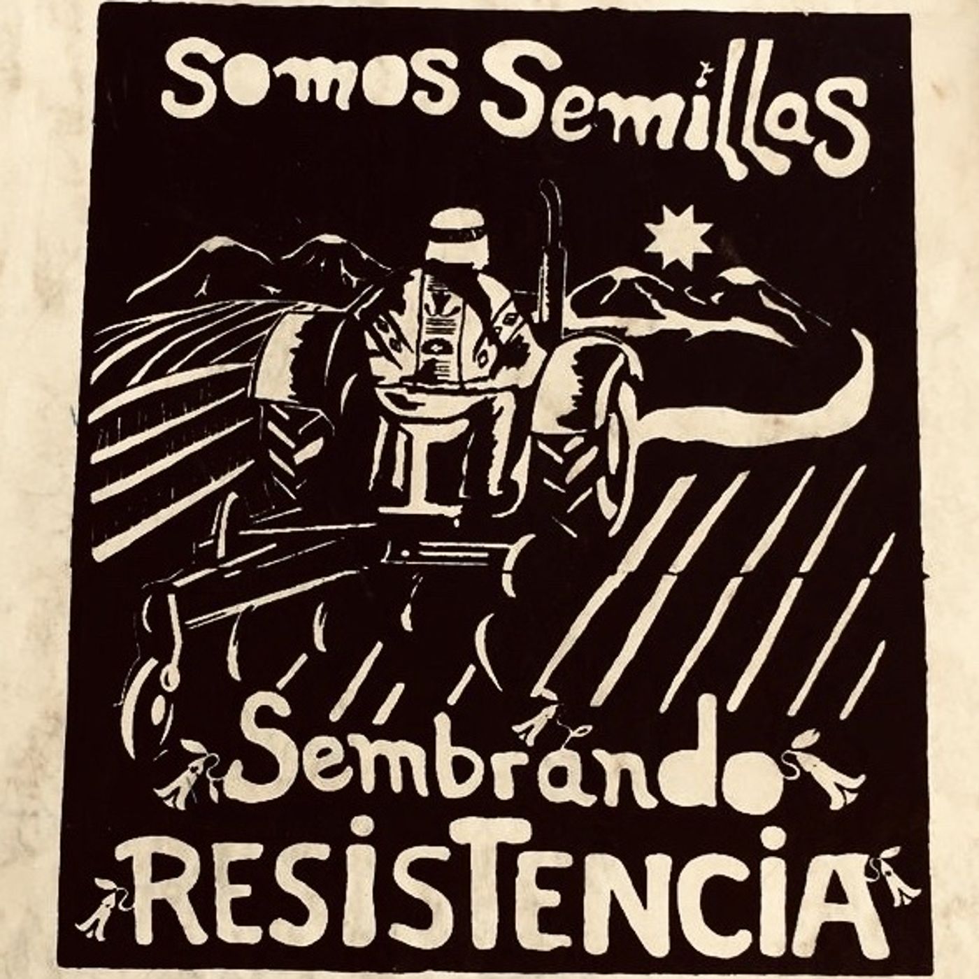 Storia del popolo Mapuche