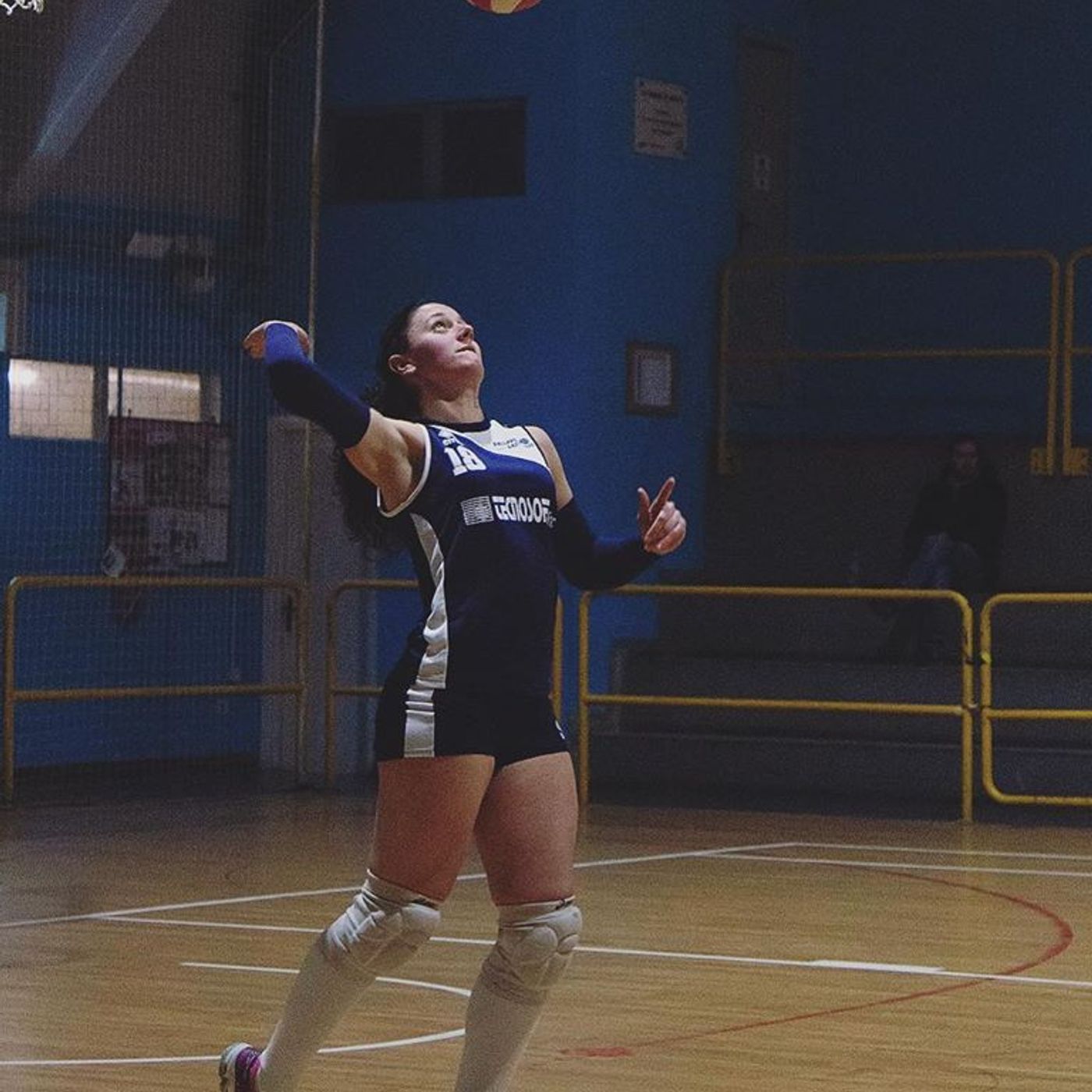 Barbell Bridge Pavia