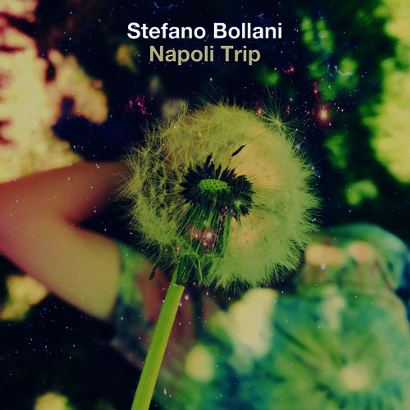 BOLLANI DAY