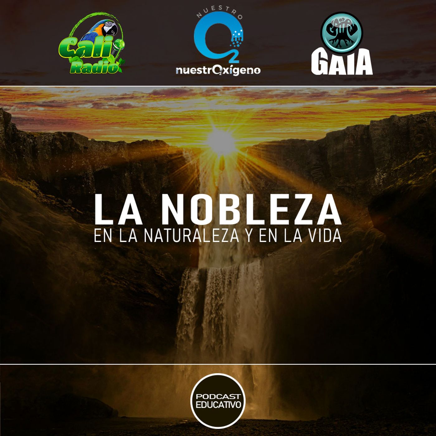 2025 Nuestro Oxigeno 03- Marzo