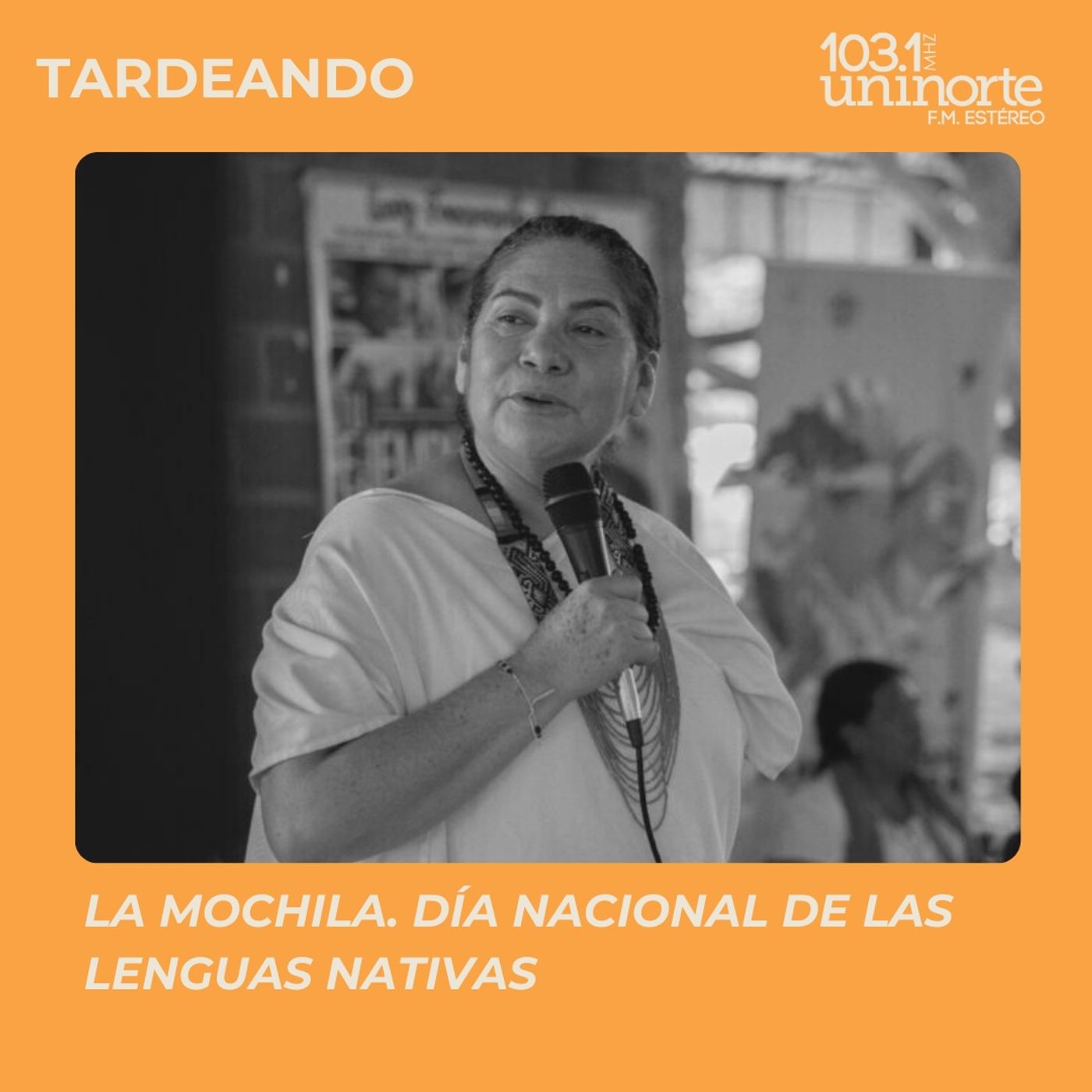 La Mochila :: Día Nacional de las Lenguas Nativas episode artwork