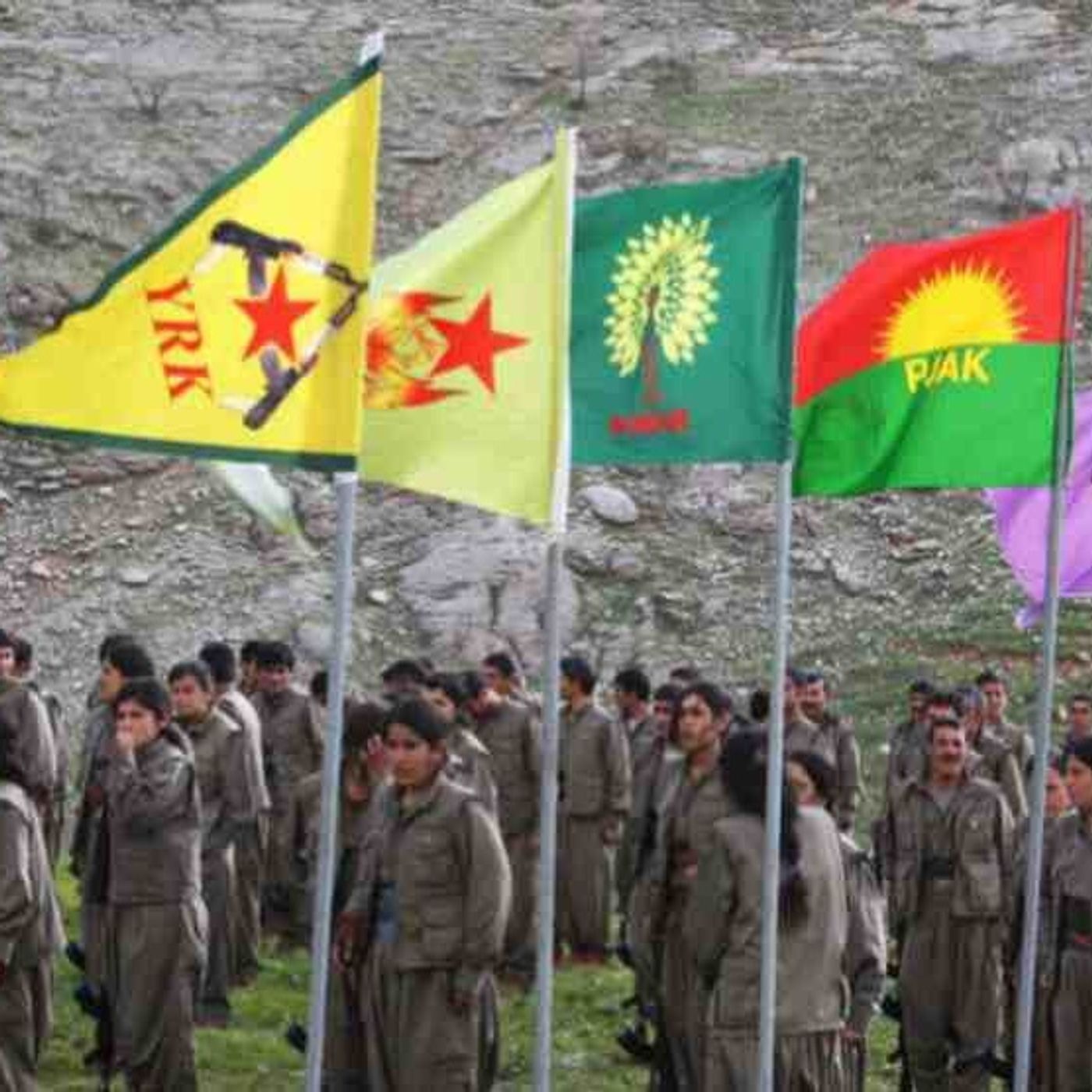 نقدی بر پژاک و کودار(جافی)