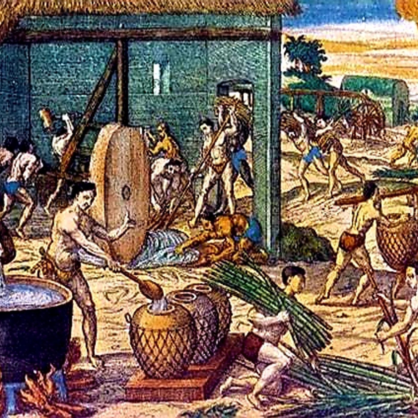 Origen y evolución de las organizaciones