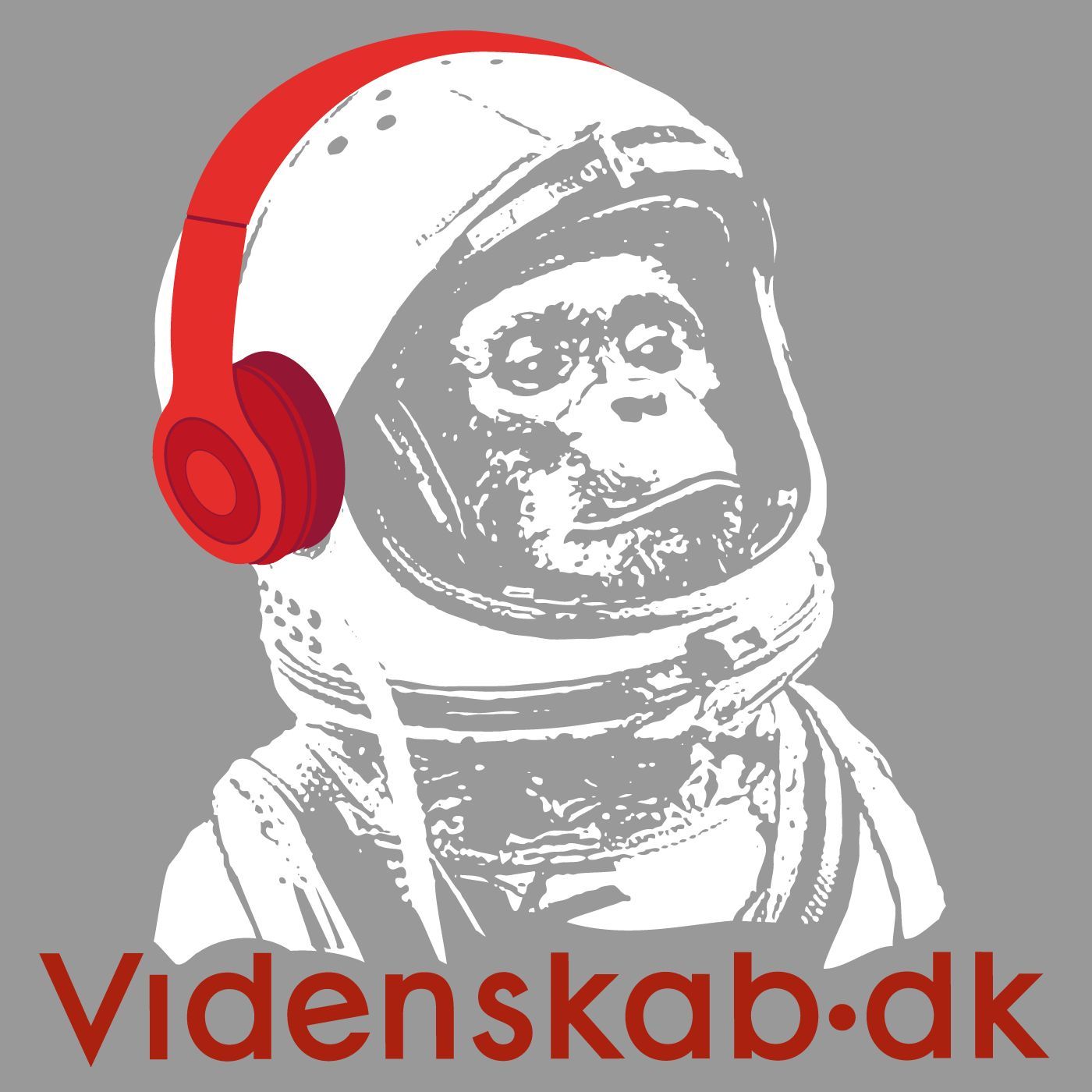 Videnskab.dk