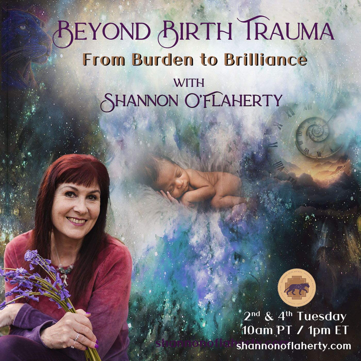 Beyond Birth Trauma with Shannon O'Flaherty: From Burden to Brilliance