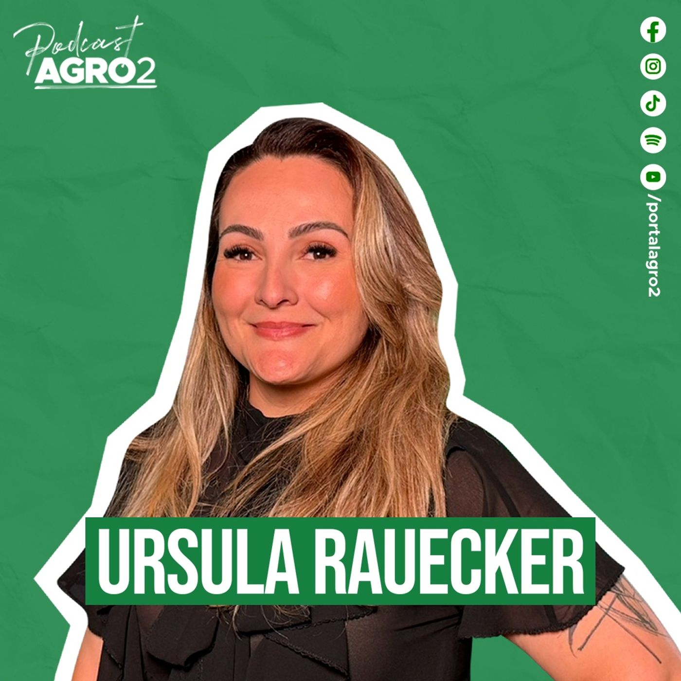 Como a legislação assegura a qualidade do mel? #434 episode artwork
