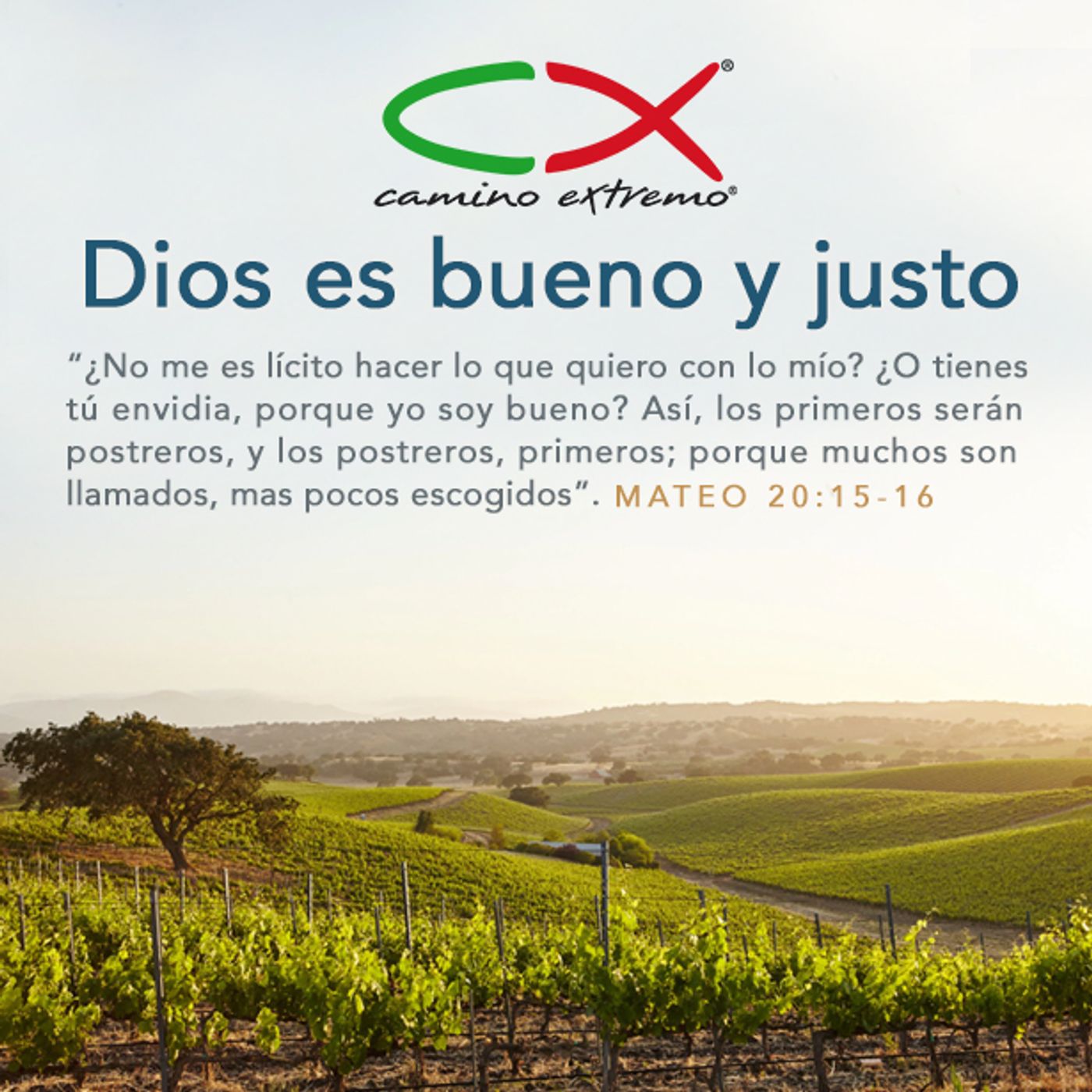 Oración 25 de octubre (Dios es bueno y justo) episode artwork
