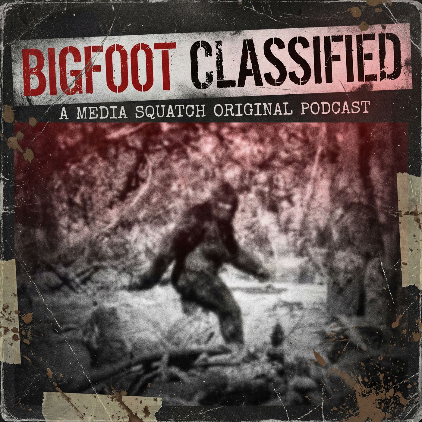 Bigfoot Classified
