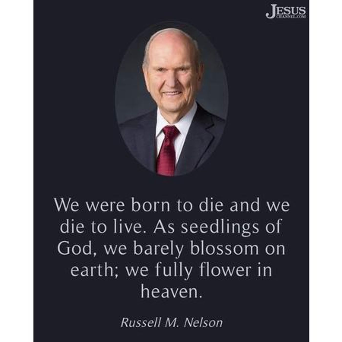 THE HINDUS: Polygamy to Monogamy, Chapter 5 of Holy Priesthood Volume 4 episode artwork