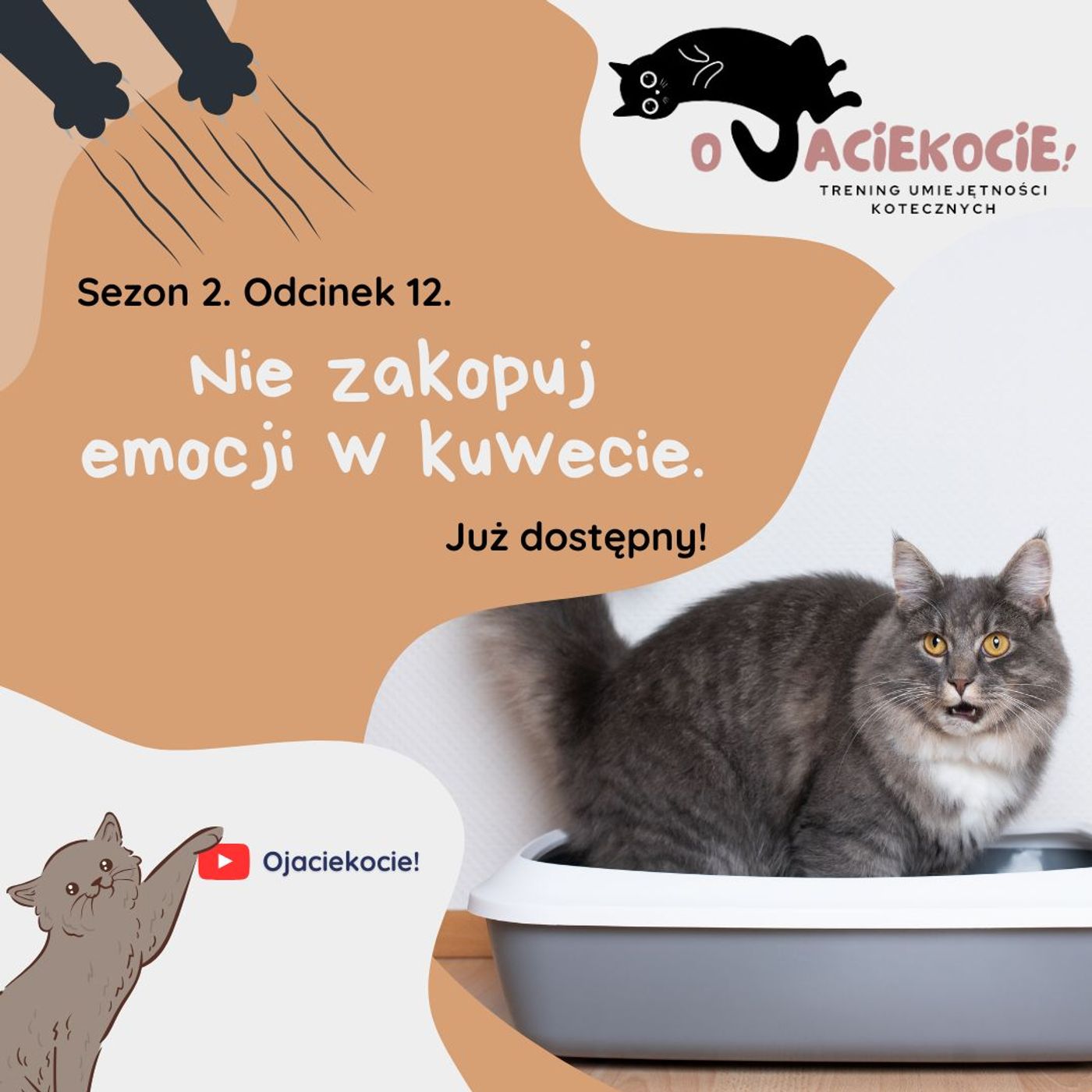 S2E12 - Nie zakopuj emocji w kuwecie. episode artwork